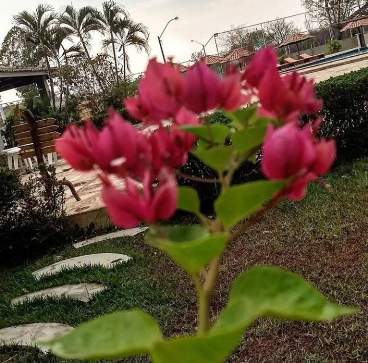 Pousada Recanto Dos Passaros Balsas المظهر الخارجي الصورة