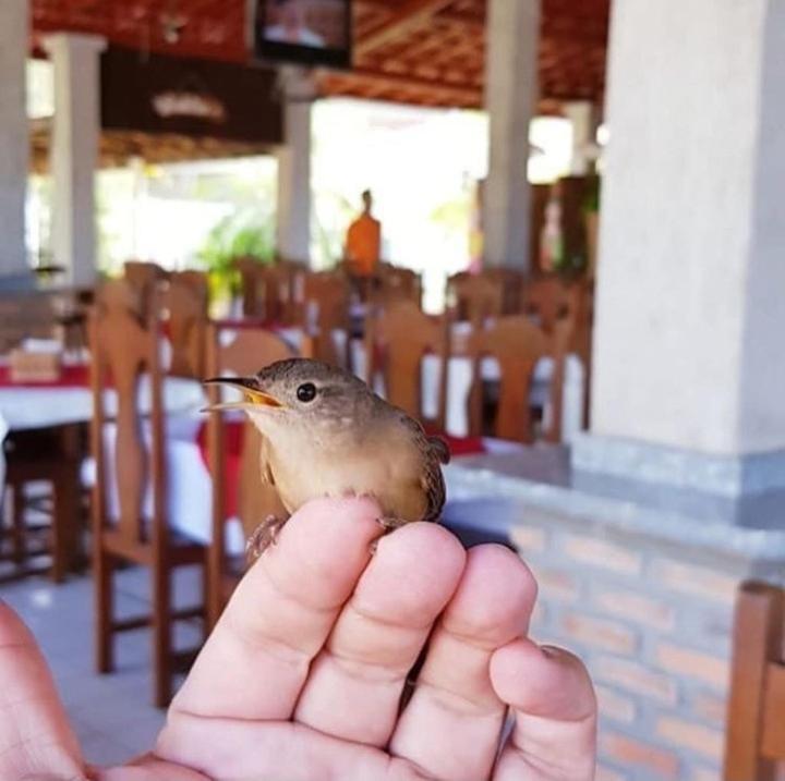 Pousada Recanto Dos Passaros Balsas المظهر الخارجي الصورة
